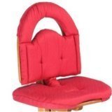 Svan of Sweden Red Svan Cushion by Svan