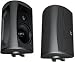 Definitive Technology AW 6500 Outdoor Speaker (Single, Black)