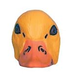 Review Just For Fun  / Duck Face Mask