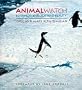 Animal Watch: Behavior, Biology, and Beauty