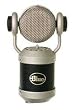 Blue Mouse Microphone