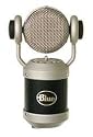 Blue Mouse Microphone