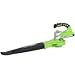 Greenworks 24122A 24-Volt 2 Amp Hour Cordless Lithium Ion Leaf Blower