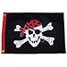 Pirate Flags -12 x 18'', Many styles available