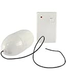 Wireless Remote Control Egg Vibrator