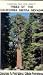 Book Trees of the California Sierra Nevada: A New and Simple Way to Identify and Enjoy Some of the World's Most Beautiful and Impressive Forest Trees in a