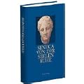 Von der Seelenruhe: Philosophische Schriften und Briefe (insel taschenbuch)