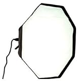 Smith Victor 48 Octagonal 1000 Watt Quartz Heat Resistant Softbox Light - 120V AC