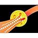 The Human Body: The Endocrine System