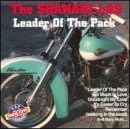 Leader of the Pack