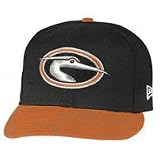 Delmarva Shorebirds New Era Onfield 59FIFTY (5950) Home Cap