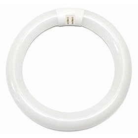 Halco 37504 - FC9T9/830 Circular T9 Fluorescent Tube Light Bulb