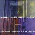 Review Muddy Waters  / Take a Walk With Me