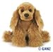 Cocker Spaniel