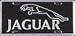 Jaguar License Plate Image