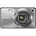 Sony Cyber-shot DSC-W290 12.1 MP Digital Camera with 5x Optical Zoom and Super Steady Shot Image Stabilization (Silver)