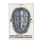 細腕三畳紀 (アフタヌーンKC)