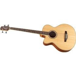 Takamine G Series EGB2S Left Handed Acoustic Electric Bass (Natural) 21RMPcVEPiL Takamine G Series EGB2S Left Handed Acoustic Electric Bass (Natural)