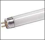 2 ft. Fluorescent bulb, Cool 6500 kelvin