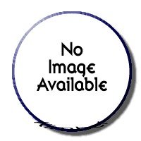 Fowler 4 Inch Electronic Caliper FOW54-100-004
