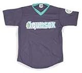 Minor League Baseball Everett Aquasox V Neck Adult Jersey
