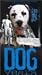 Dog Years (Sp) [VHS]