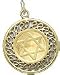 Star of David on Disc, 14K Gold Charm