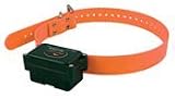In-Ground Fence System - Additional Receiver