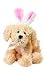Retriever Pup w/ Easter Bunny Ears 4in Plush by Ganz
