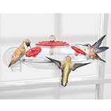 Droll Yankees WH2 Window Mount Hummer Feeder with Nectar Guard