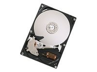 Hitachi 500GB 3,5