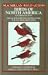 Birds of North America/Eastern Region: A Quick Identification Guide to Common Birds (Macmillan field guides)