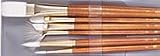 21RP8HyYL3L. SL160  WHITE TAKLON BRUSH SET/6