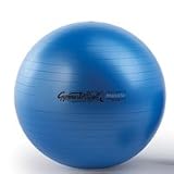 Gymnastik Maxafe Exercise Ball – 65cm