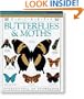 Butterflies and Moths (Pocket Guides)