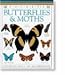 Book Butterflies and Moths (Pocket Guides)