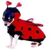 Ladybug Costume (Size 0)