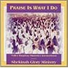 Praise Is What I Do