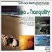 Nature's Relaxation Suites: Sea of Tranquility