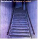 Edna's Goldfish -  The Elements of Transition