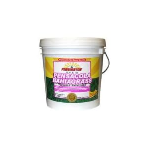 bahia grass seed