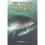 New England Stripers