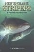 New England Stripers