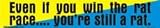 Even if you win the rat race you are still a rat bumper sticker