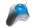 Kensington Orbit Elite 2 Button Trackball