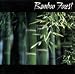 Bamboo Forest-Bamboo Forest