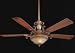 Indoor Ceiling Fans MinkaAire San Leone Image