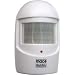 Wireless Motion Detector Sensor