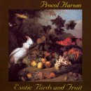 Exotic Birds And Fruit