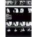 BURNING MOTORS GO LAST HEAVEN [DVD]